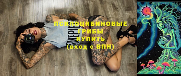 спиды Алзамай