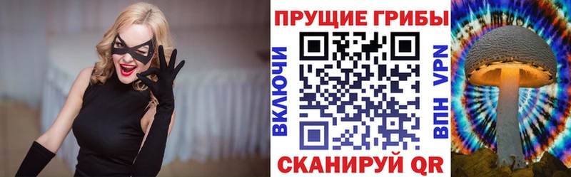 даркнет сайт  Карабулак  Псилоцибиновые грибы Psilocybine cubensis 