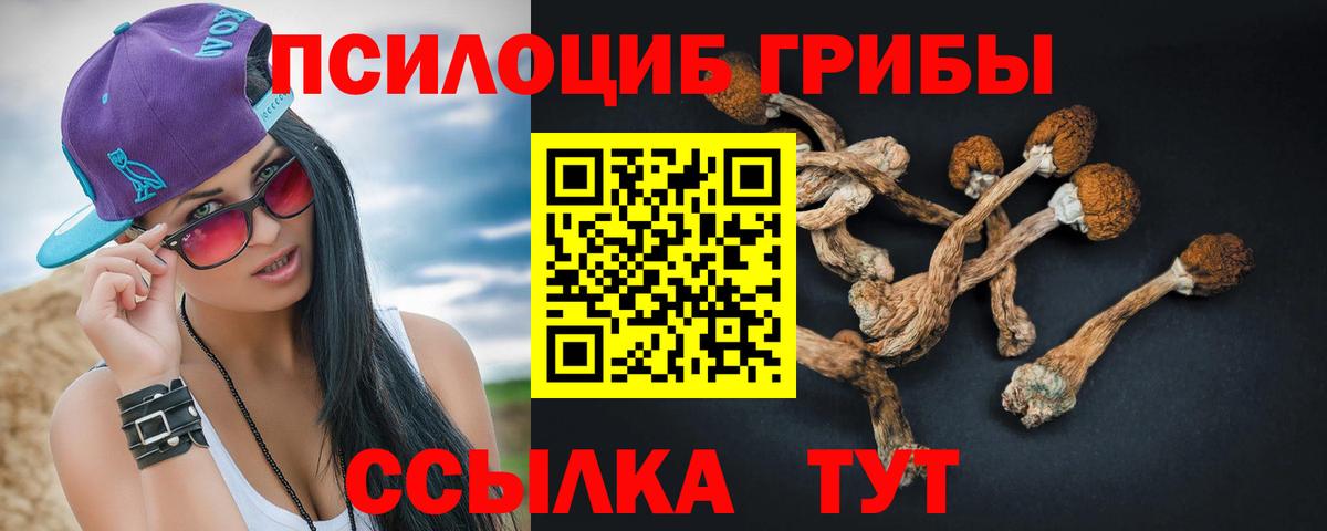 Псилоцибиновые грибы прущие грибы  Псилоцибиновые грибы MAGIC MUSHROOMS  Карабулак  Вход с VPN 